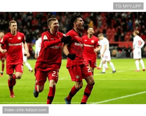 勒沃库森客场二比一险胜汉堡 延续客场强劲势头